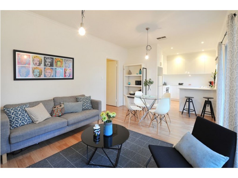 19 Downer Street, Plympton Park SA 5038