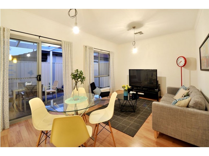 19 Downer Street, Plympton Park SA 5038