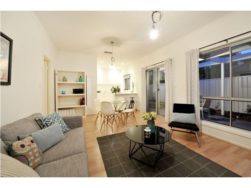 19 Downer Street, Plympton Park SA 5038