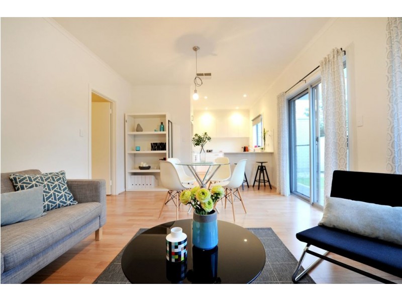 19 Downer Street, Plympton Park SA 5038