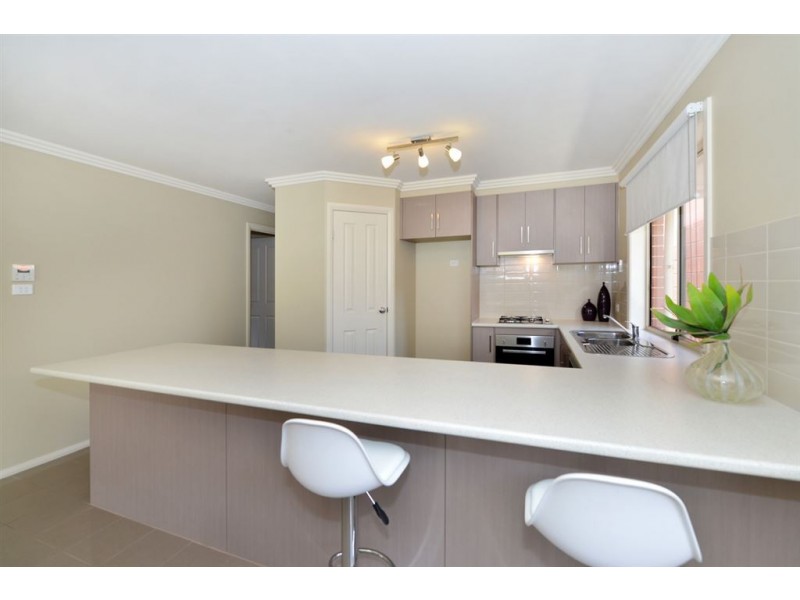 55A Patricia Avenue, Camden Park SA 5038