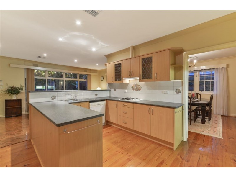 65 Anglesey Avenue, St Georges SA 5064