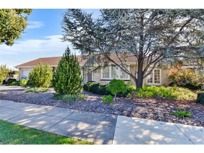 13 Moresby Street, Lockleys SA 5032