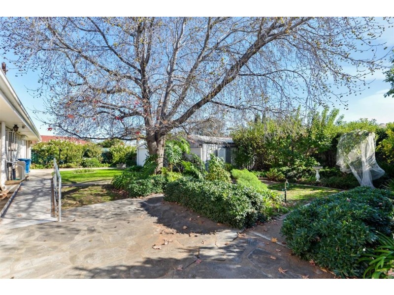 13 Moresby Street, Lockleys SA 5032