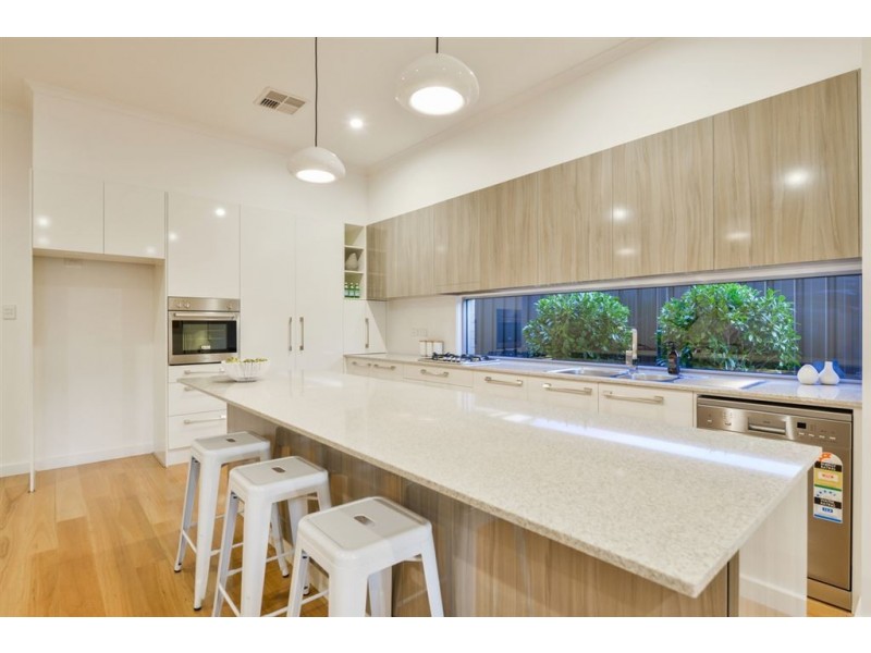 14A Swinburne Avenue, Plympton Park SA 5038