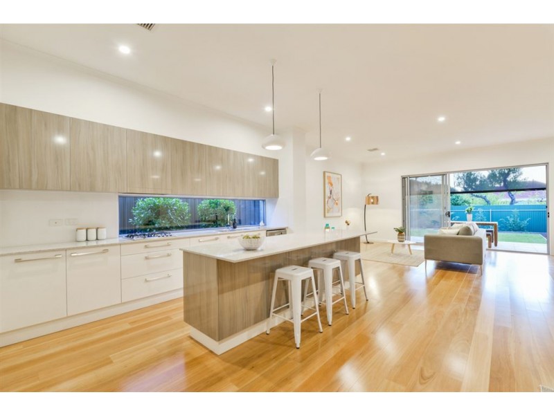 14A Swinburne Avenue, Plympton Park SA 5038