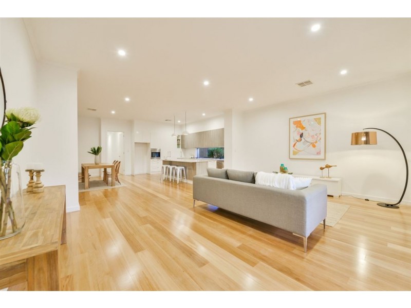 14A Swinburne Avenue, Plympton Park SA 5038