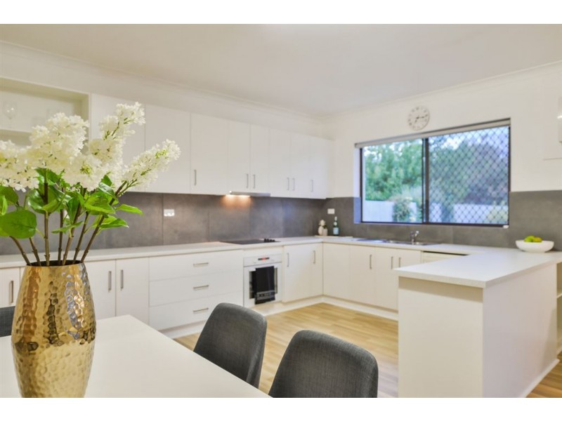 58 Dampier Avenue, Flinders Park SA 5025