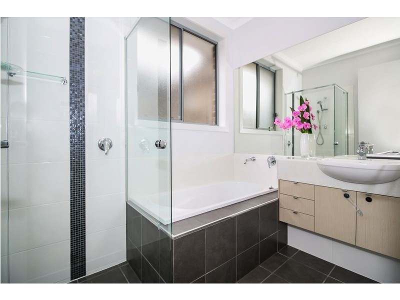 26 Winifred Avenue, South Plympton SA 5038