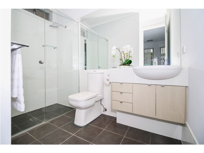 26 Winifred Avenue, South Plympton SA 5038