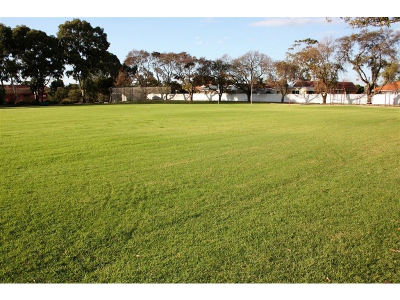 19 Stuart Road, South Plympton SA 5038