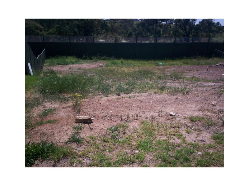 1327 St Stephens Rd, Blair Athol NSW 2560