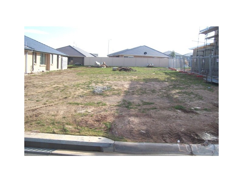 Lot 3805 Alchornea Cir, Mount Annan NSW 2567