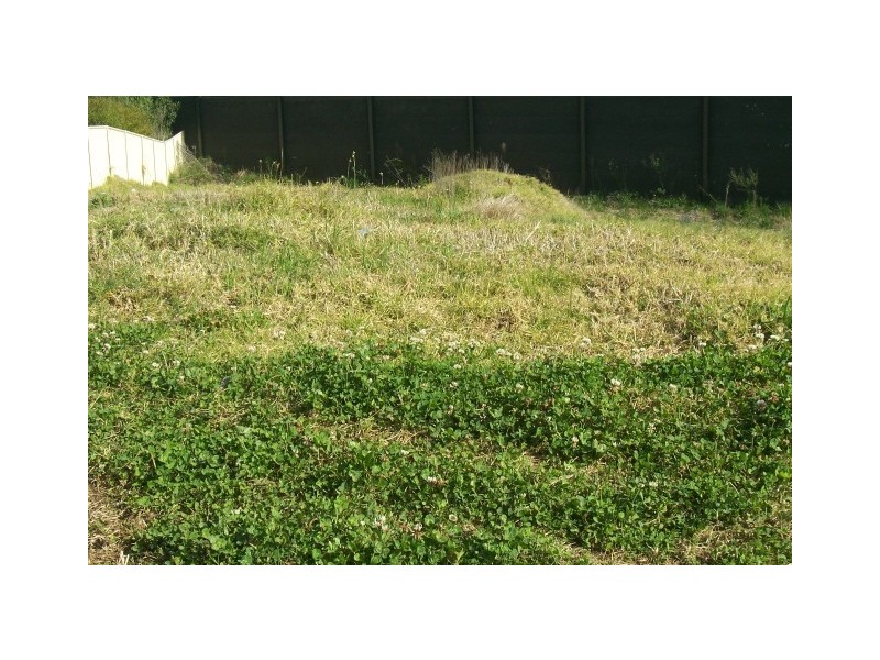 42 St Stephens Rd, Blair Athol NSW 2560