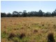 184 Minerva Rd, Wedderburn NSW 2560