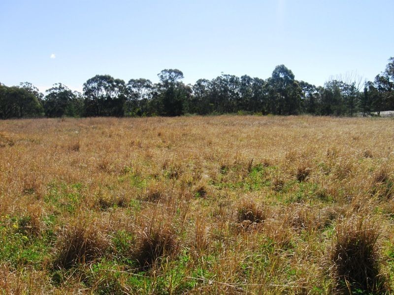 184 Minerva Rd, Wedderburn NSW 2560