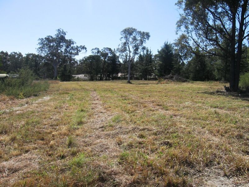 184 Minerva Rd, Wedderburn NSW 2560