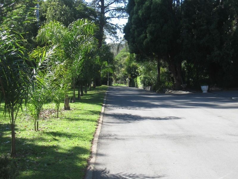 294 Wedderburn Rd, Wedderburn NSW 2560