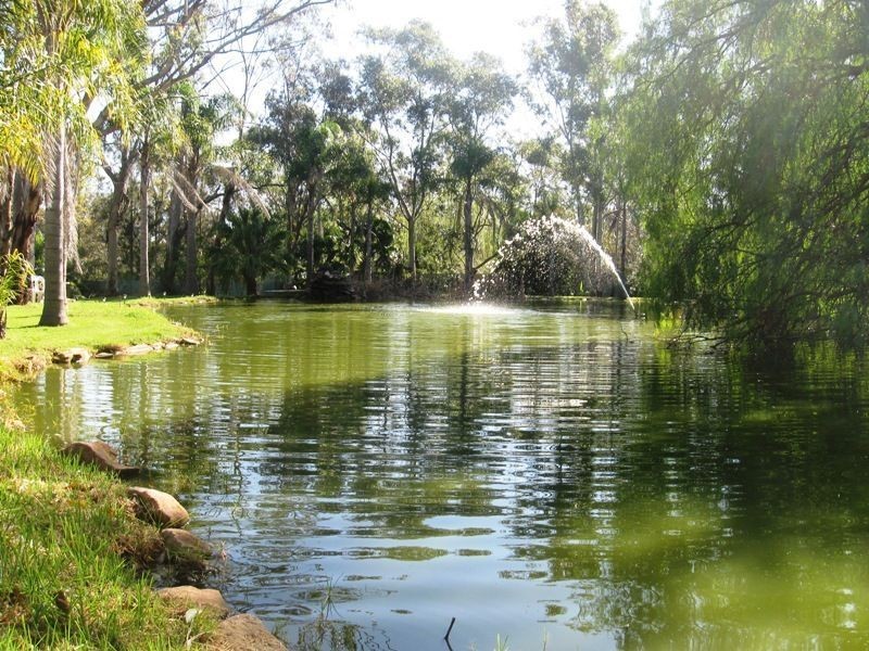 294 Wedderburn Rd, Wedderburn NSW 2560