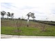 36 Felix Street, Gregory Hills NSW 2557