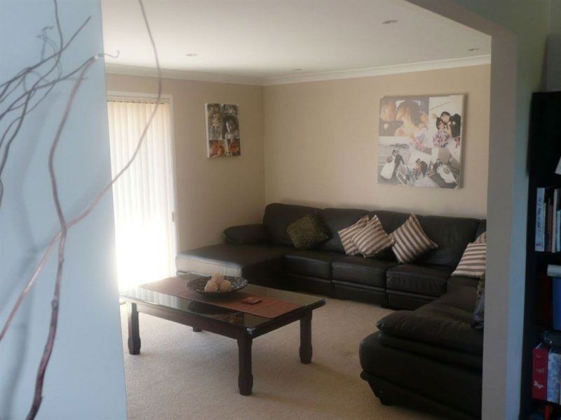 20 Chasselas Avenue, Eschol Park NSW 2558