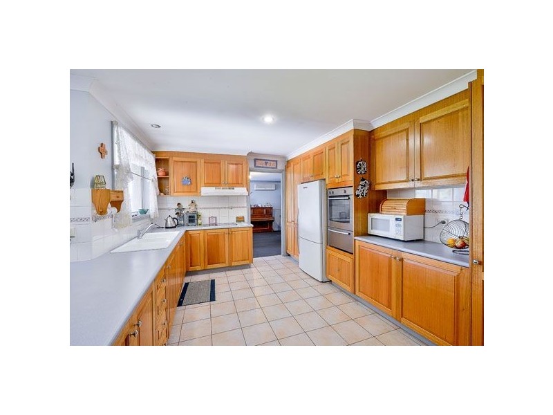 55 Manna Gum Road, Narellan Vale NSW 2567