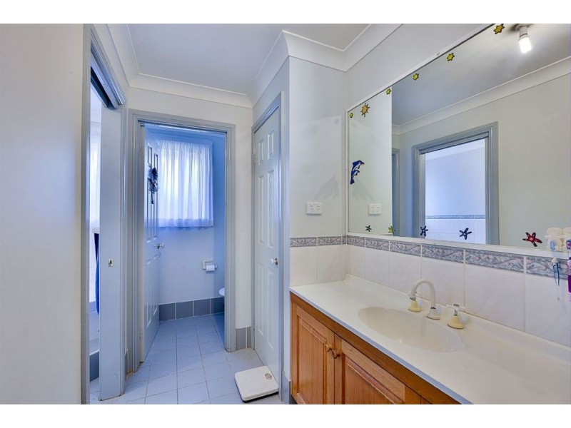 55 Manna Gum Road, Narellan Vale NSW 2567