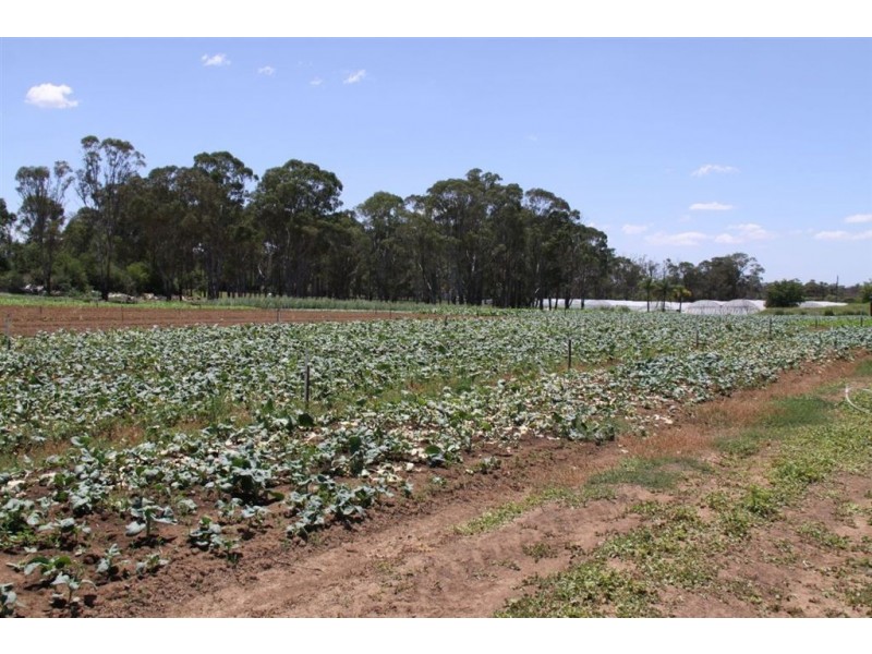 835 Fifteenth Avenue, Kemps Creek NSW 2178