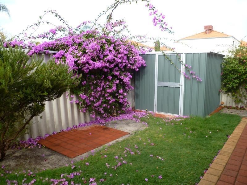 17 GOCHEAN AVENUE, Bentley WA 6102