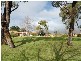 6 Bayleaf Retreat, O’connor WA 6163
