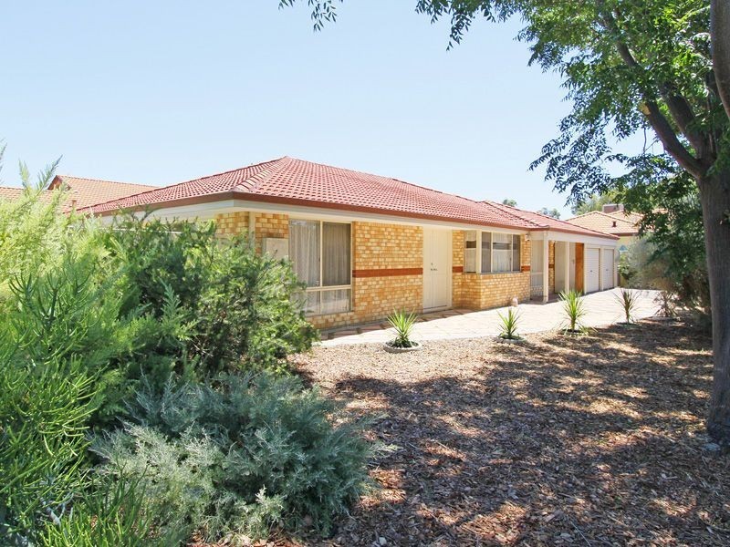 5 Paddington Court, Bibra Lake WA 6163