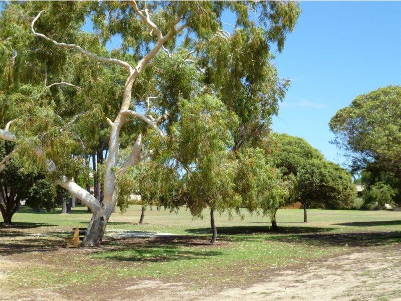 13 Sanders Loop, Kardinya WA 6163
