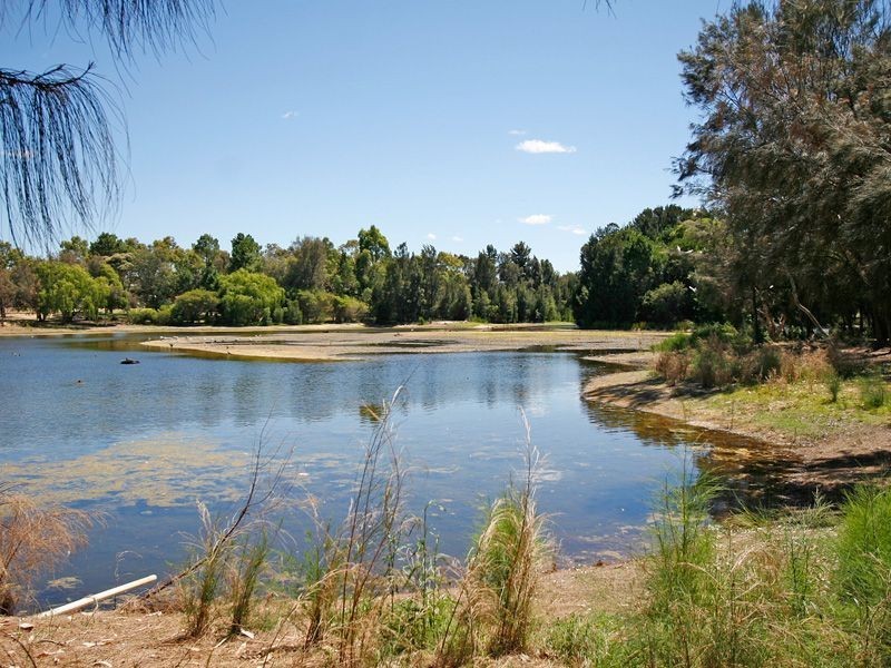A/25 Ainslie Court, Kardinya WA 6163
