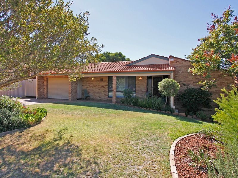 10 Callaway Crescent, Kardinya WA 6163