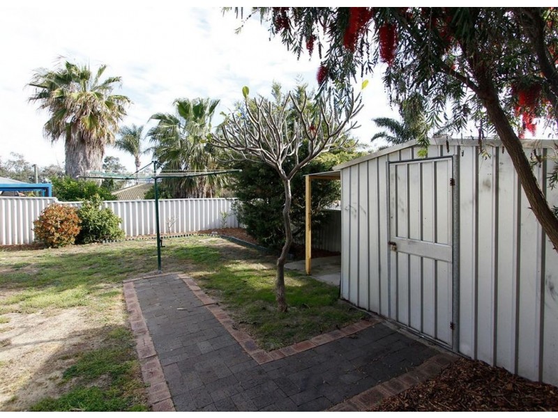11 Alpin Court, Coolbellup WA 6163