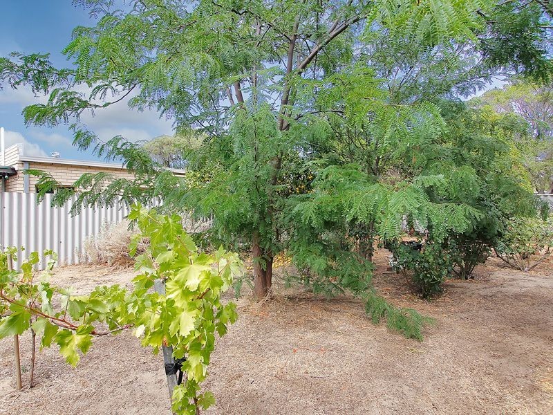 23 Hilory Street, Coolbellup WA 6163