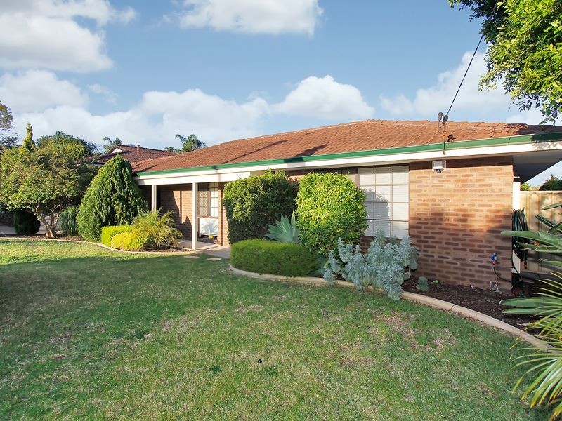 3 Paton Place, Samson WA 6163
