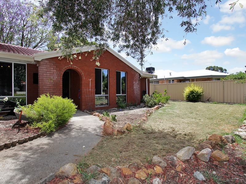 17 Gribble Avenue, Armadale WA 6112