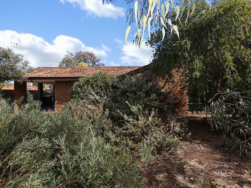 4 Baird Place, Samson WA 6163