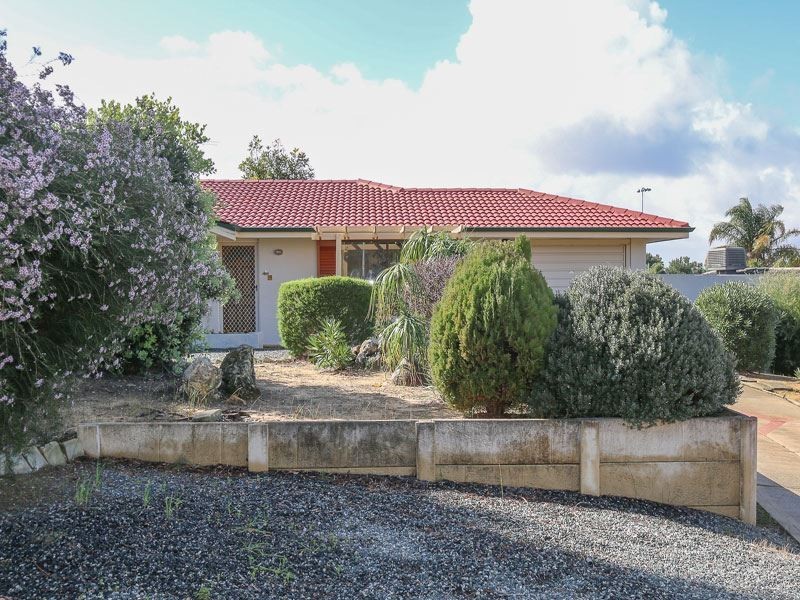 4 Stevens Place, Kardinya WA 6163