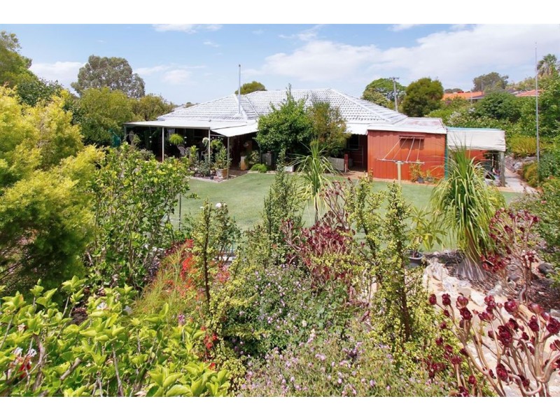 12 Capper Place, Kardinya WA 6163