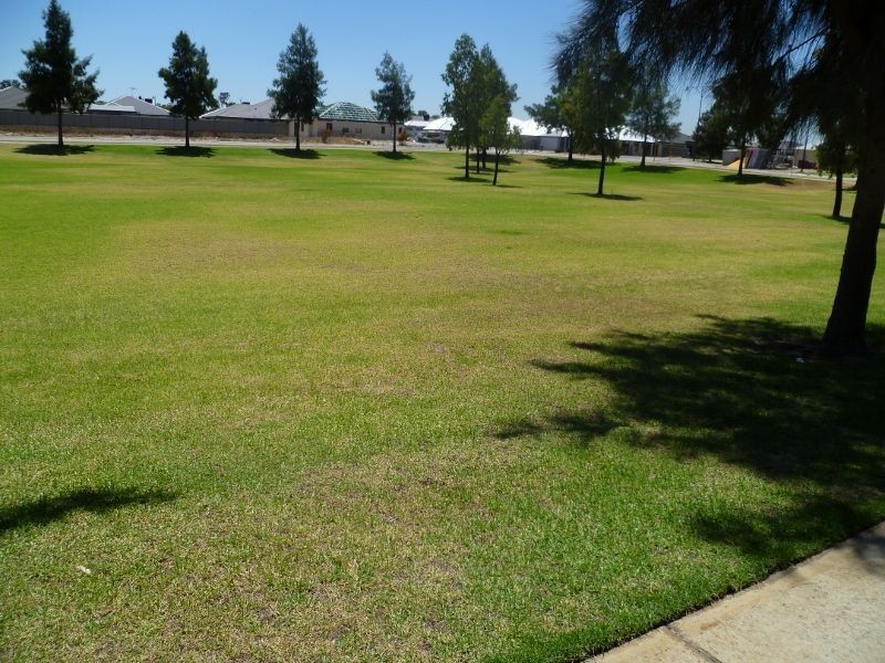 90 Princeton Circuit, Aubin Grove WA 6164