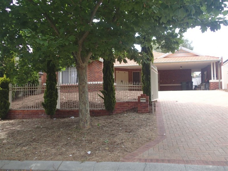 11 Plane Tree Grove, O’connor WA 6163