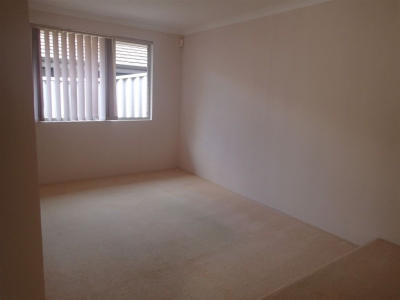 11 Plane Tree Grove, O’connor WA 6163