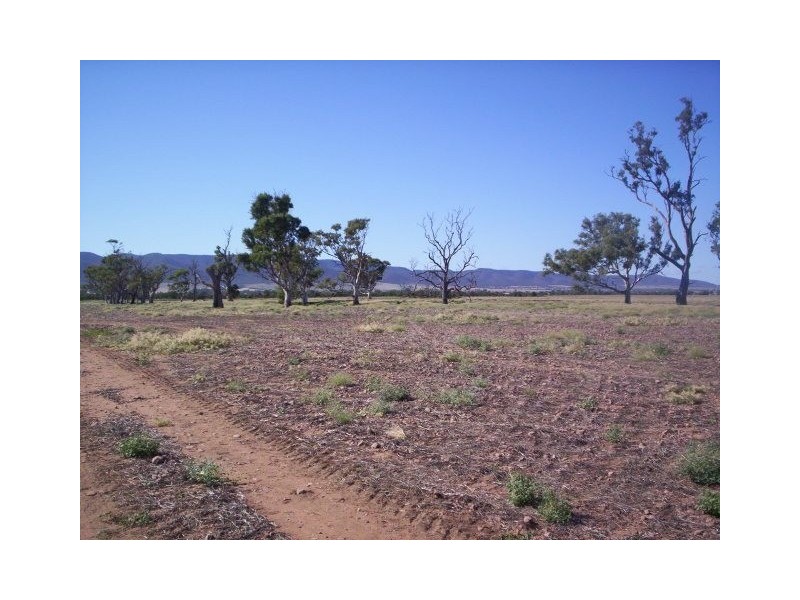 Lt 11 Gulf View road, Napperby SA 5540