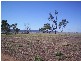 Lt 12 Gulf View Road, Napperby SA 5540
