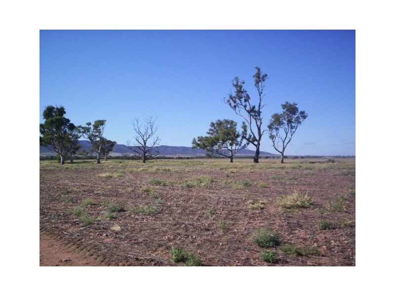 Lt 12 Gulf View Road, Napperby SA 5540