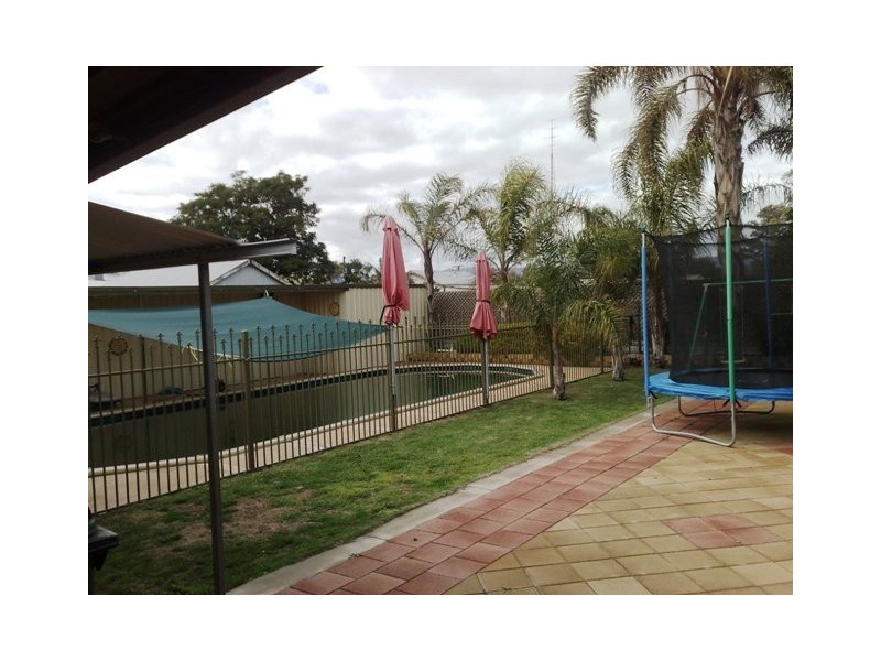 6 Ivy Street, Solomontown SA 5540