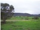 Lot 10 Scenic Drive, Napperby SA 5540