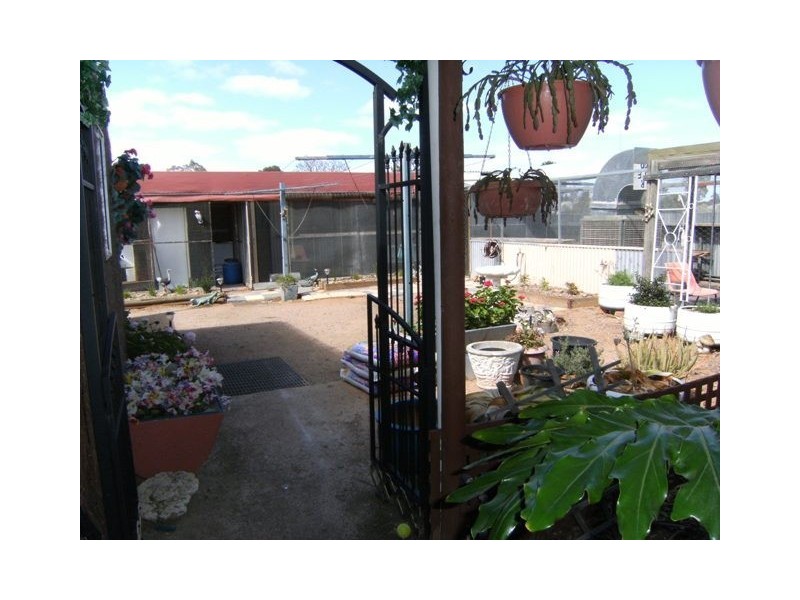 36 Oliver Street, Port Pirie South SA 5540